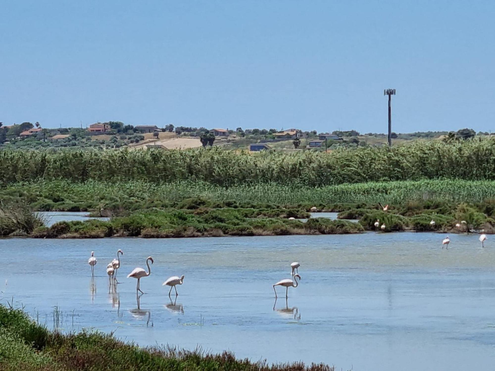 -Dimartino Home- Posizione Centrale 9 Min Da Marzamemi San Lorenzo Portopalo Di Capo Passero Пакіно Екстер'єр фото